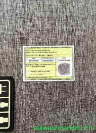 Brazil identity card photolook BACK